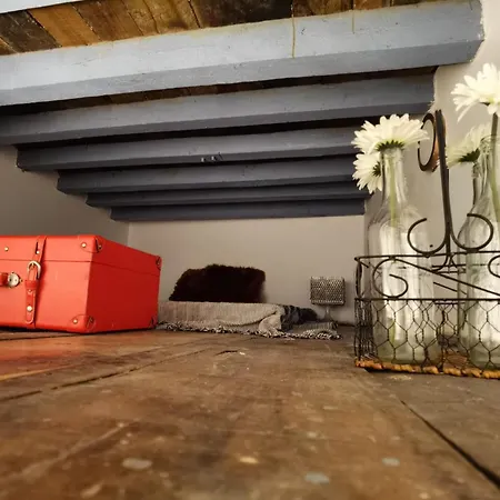 Apartamento Estrena Casa Unica Con Encanto En El Populo